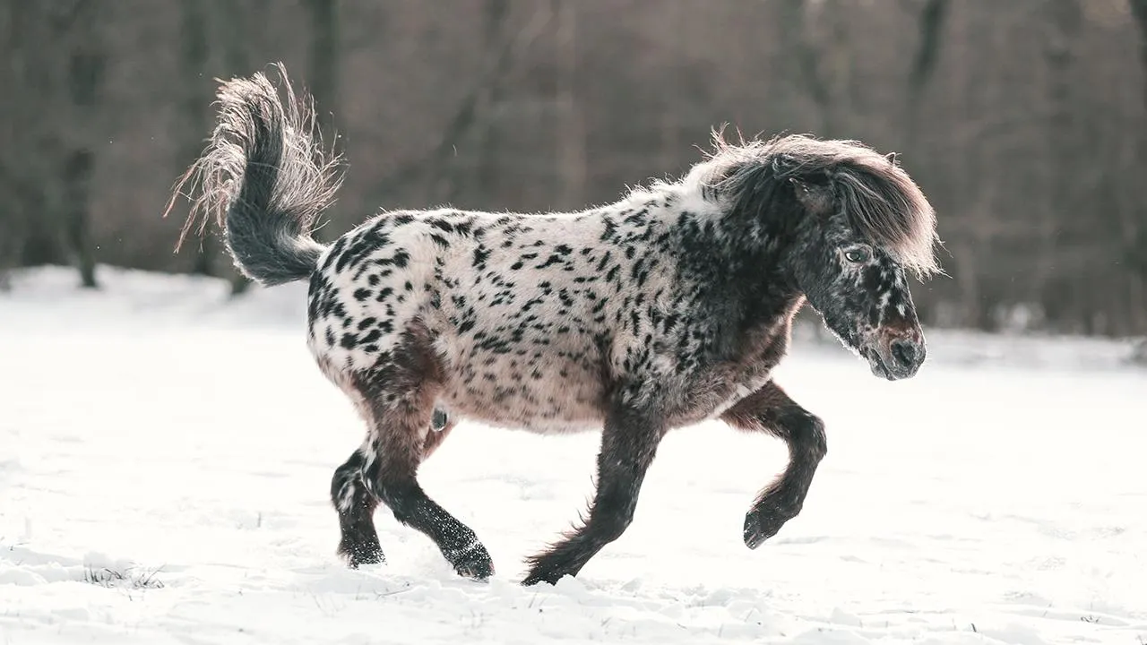 istockphoto.com/Stitchie