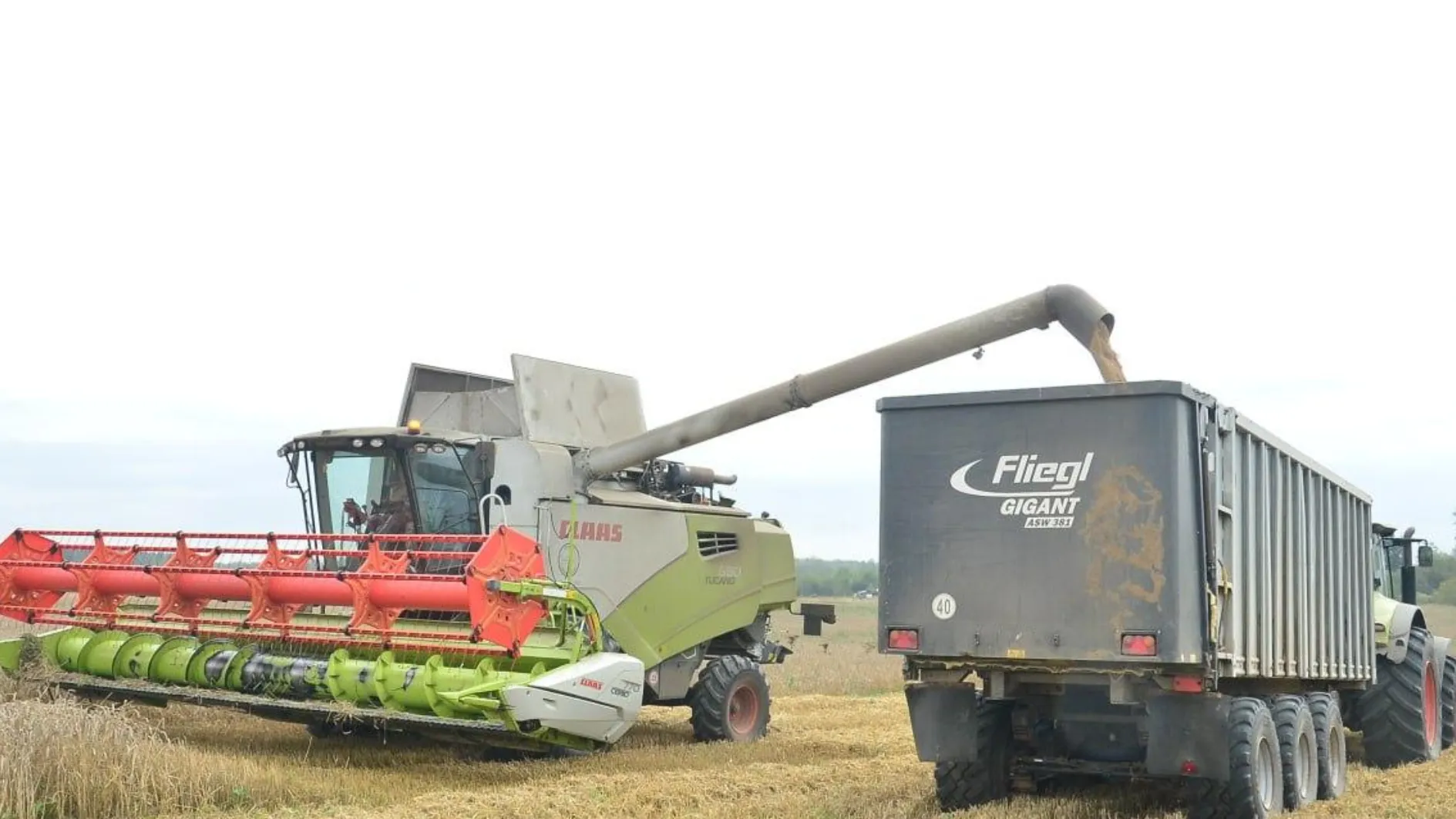 Фото: пресс-служба администрации м.о. Шатура