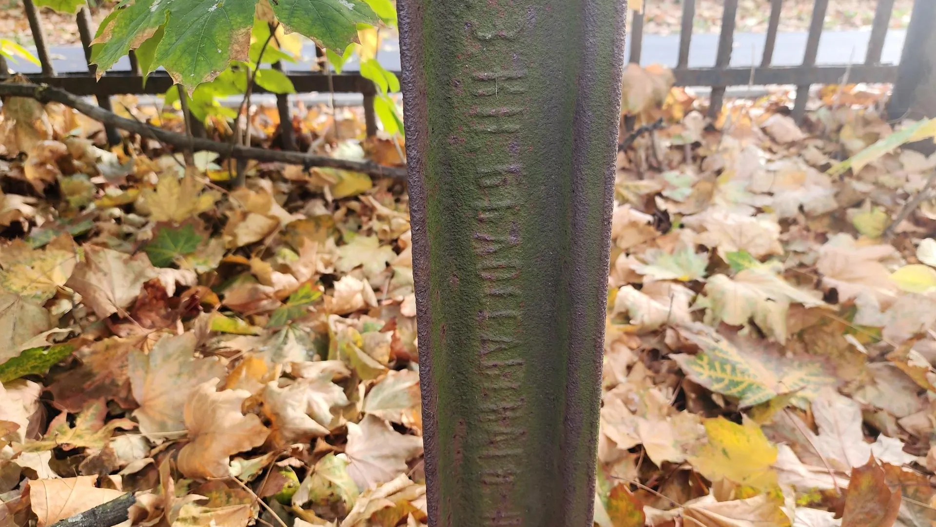 Роман Савельев