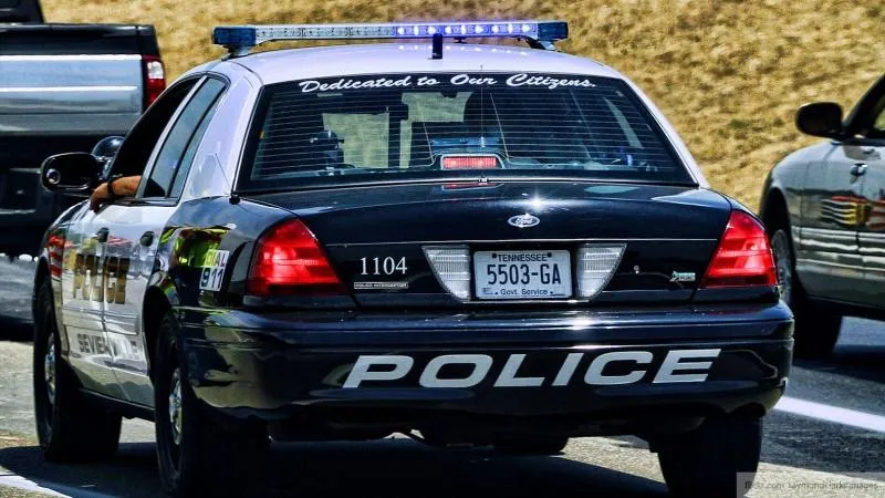 Гражданка США два месяца прятала труп мужа в мусорном баке ради пособий