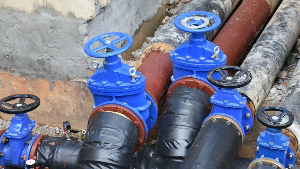 Фото: МедиаБанк Подмосковья/Владимир Останин