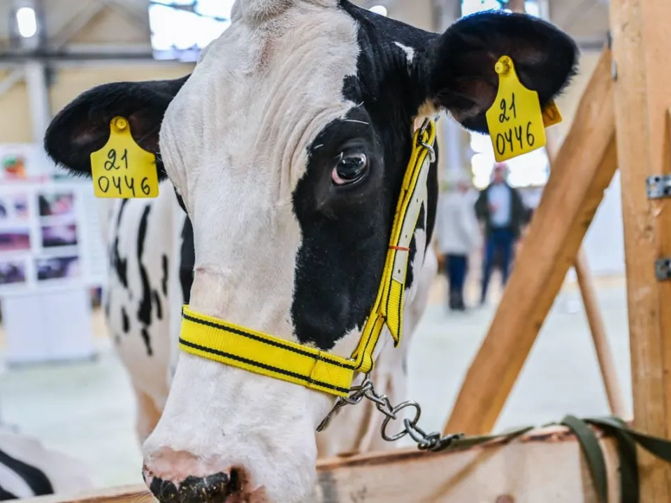 Фото: Администрация Ленинского г.о.