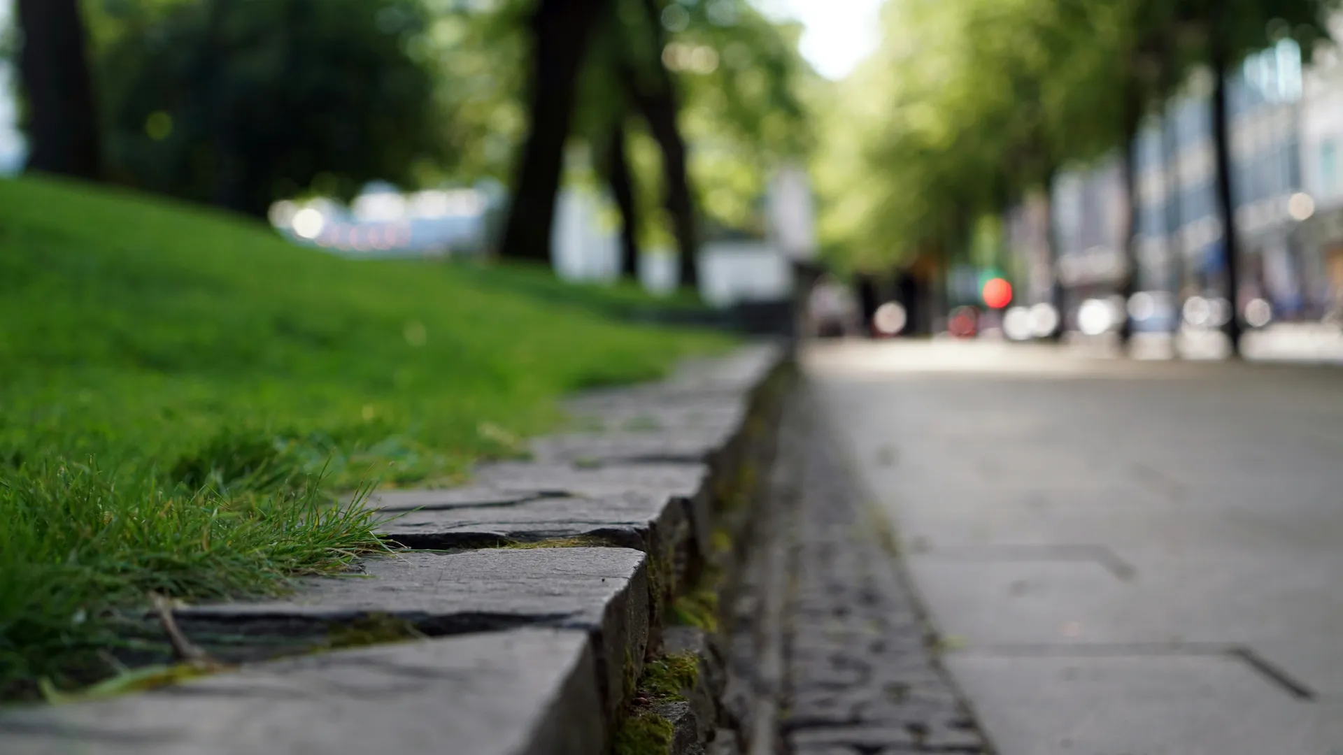 Фото: unsplash.com