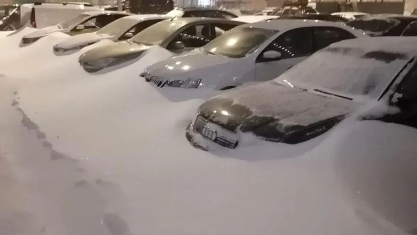 Группа в ВК «Алексеевская роща»