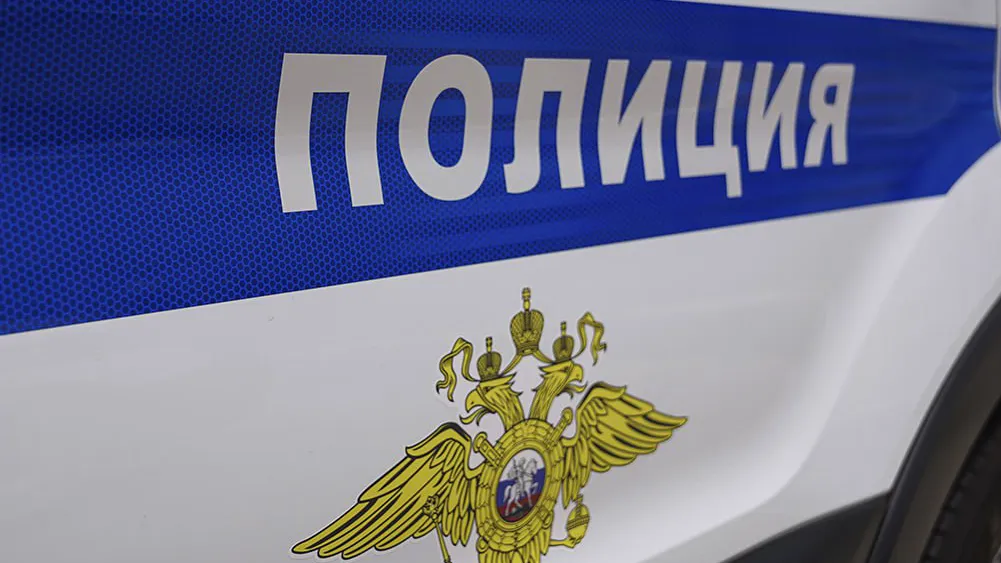 Фото: телеграм-канал «Подмосковная полиция»