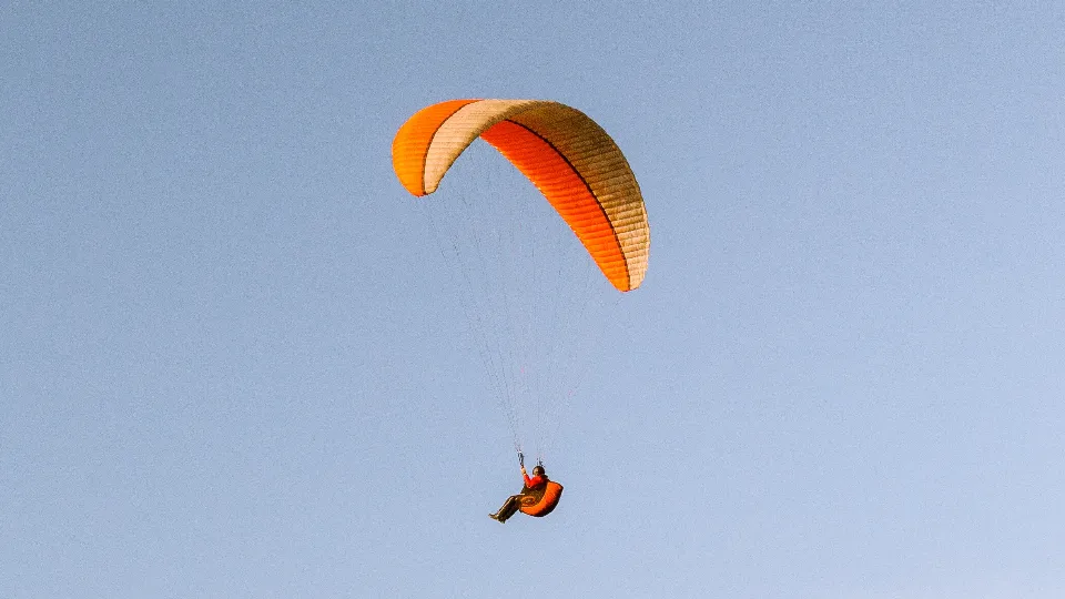 Фото: freepilk.com