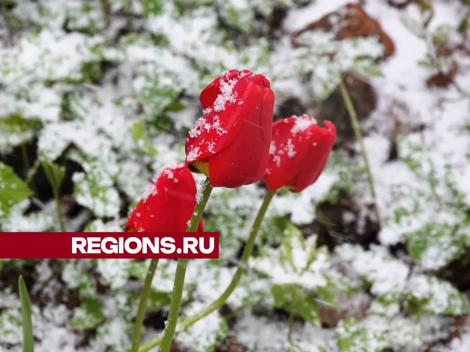 Фото: Дарья Леонова