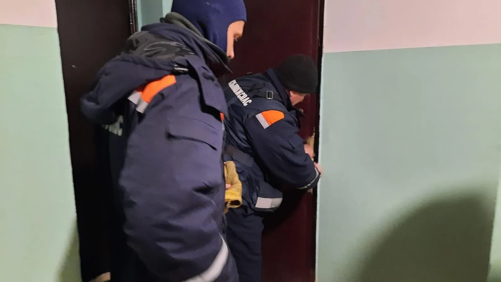 Фото: ГКУ МО «Мособлпожспас»