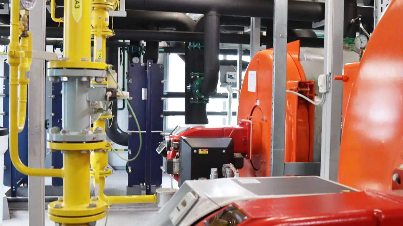 Фото: пресс-служба Администрации г.о. Ступино