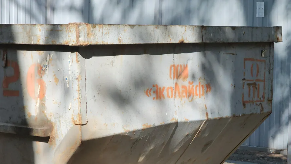 Фото: МедиаБанк Подмосковья/Арина Кузнецова