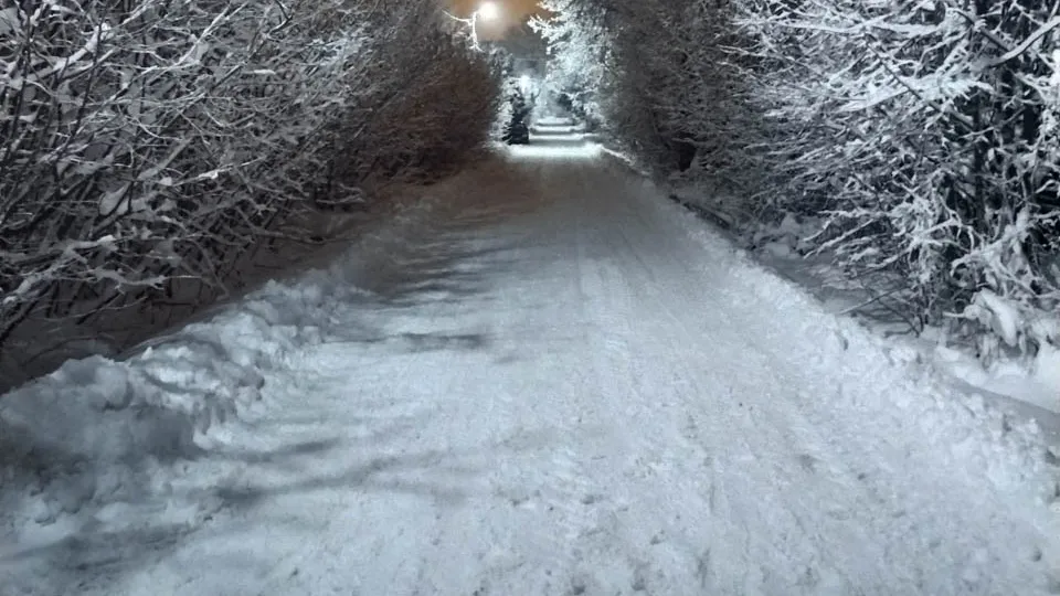 Фото: REGIONS/Роман Малышенко