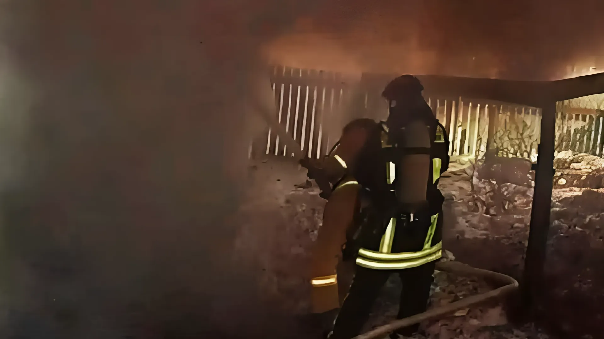 Фото: ГУ МЧС России по Московской области