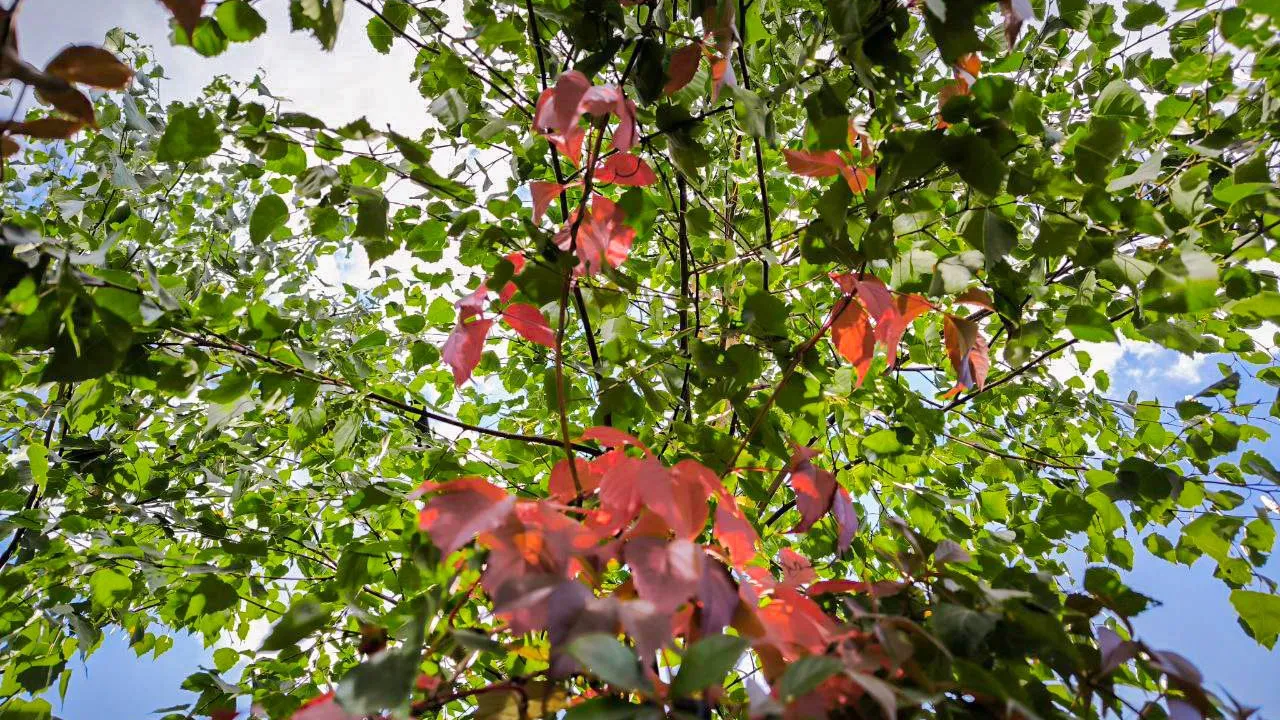 Фото: REGIONS/Роман Малышенко