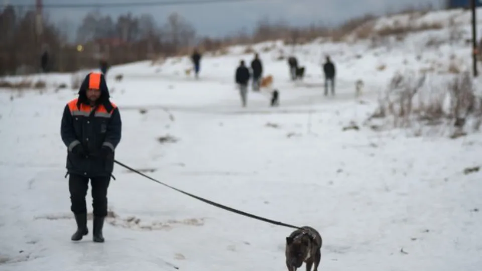Фото: медиасток.рф