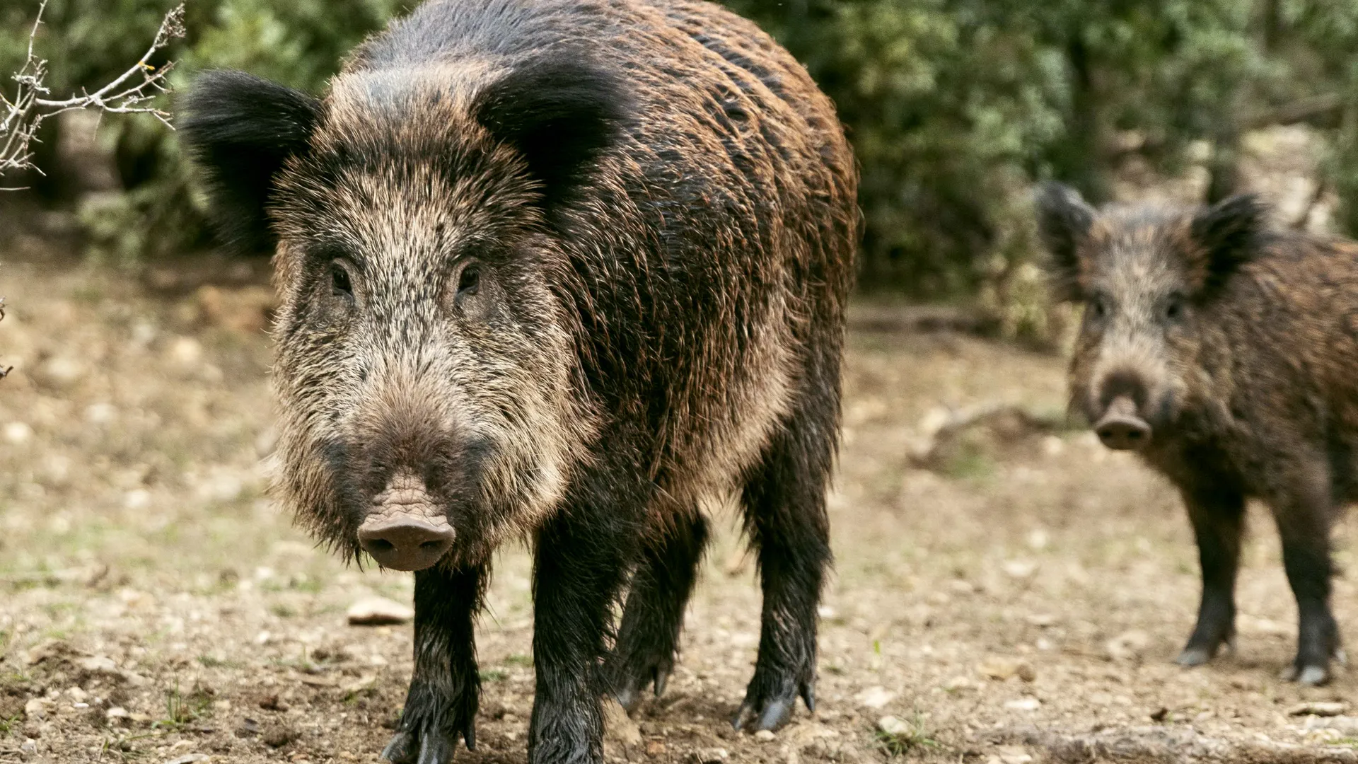 Фото: freepik.com