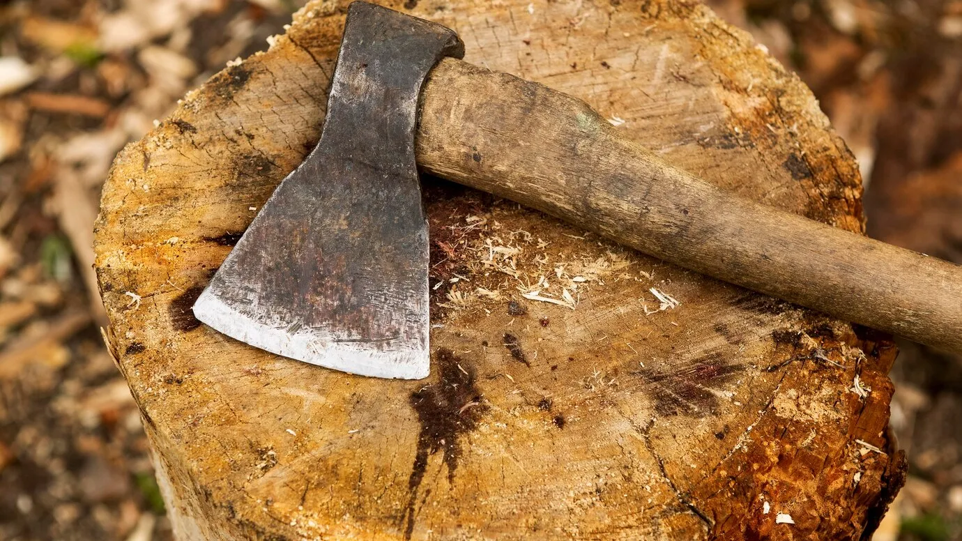 Фото: freepik.com