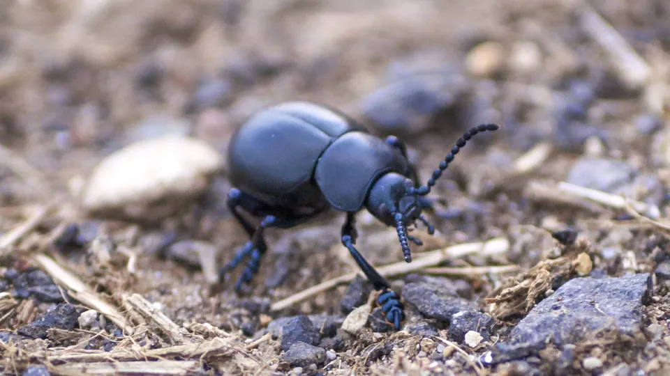 Фото: freepik.com