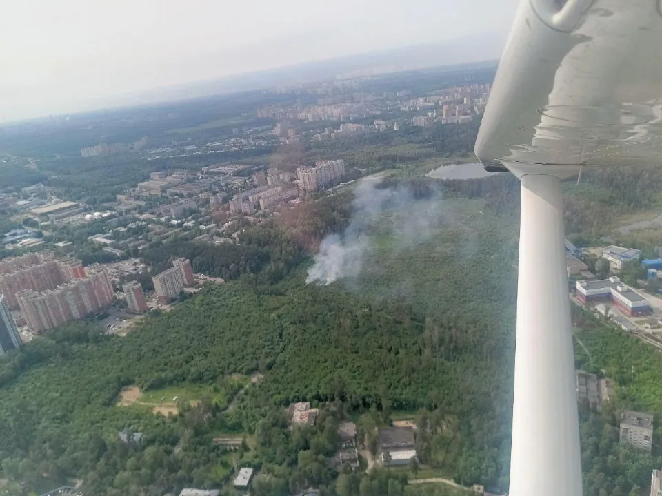 Фото: Комитет лесного хозяйства Московской области