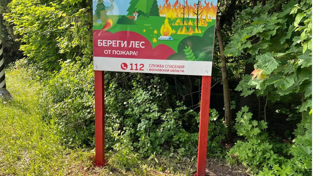 Фото: Пресс-служба администрации городского округа Истра