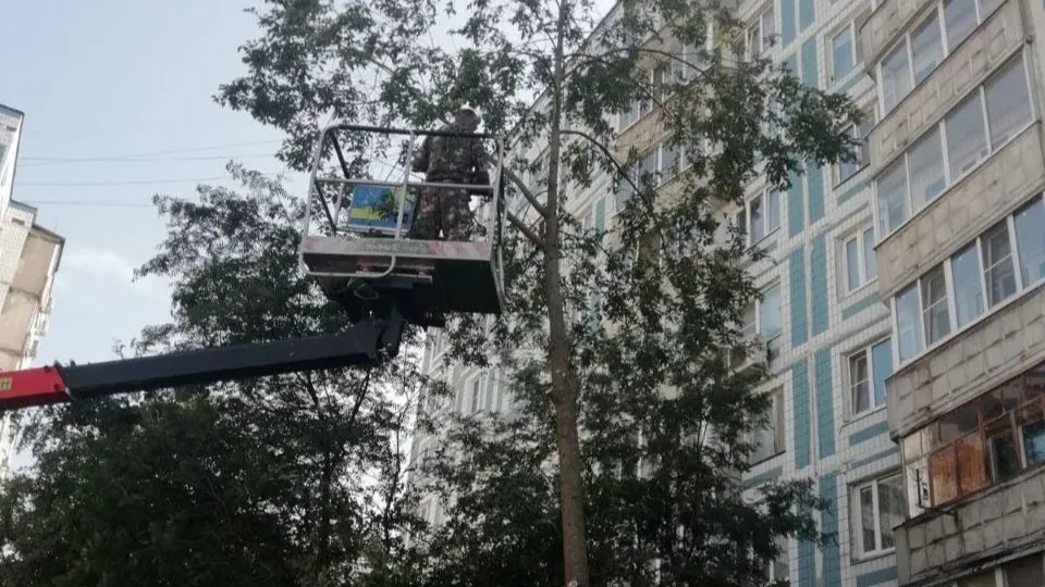 Фото: Министерство по содержанию территорий и государственному жилищному надзору МО