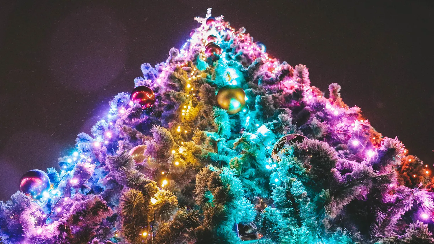 Фото: Центр досуга «Победа»