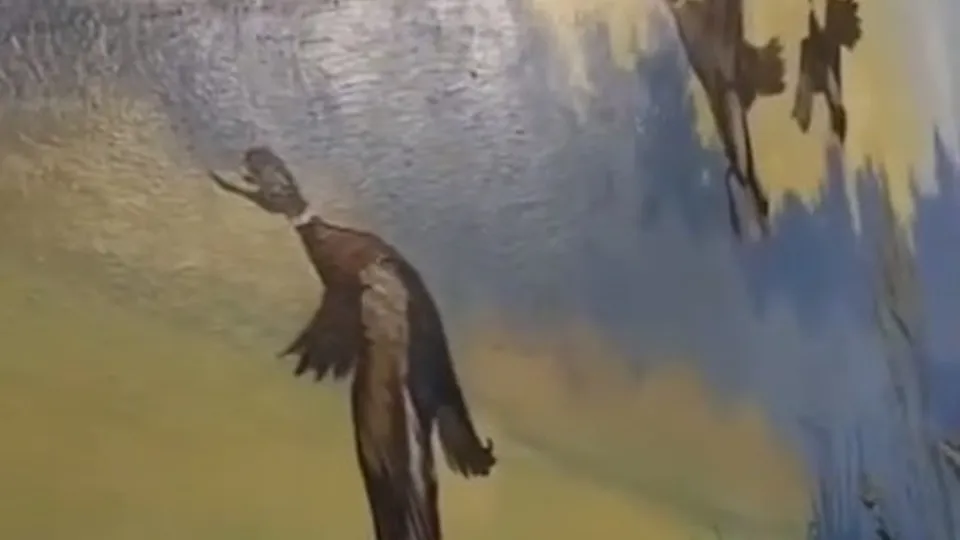 Фото: t.me/lubertsycity