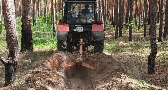 Более 50% минерализованных полос расчистили в лесах Подмосковья