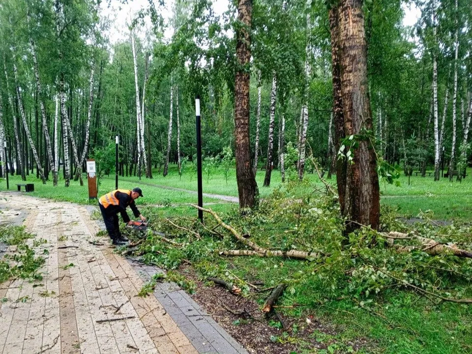 Фото: администрация городского округа Люберцы