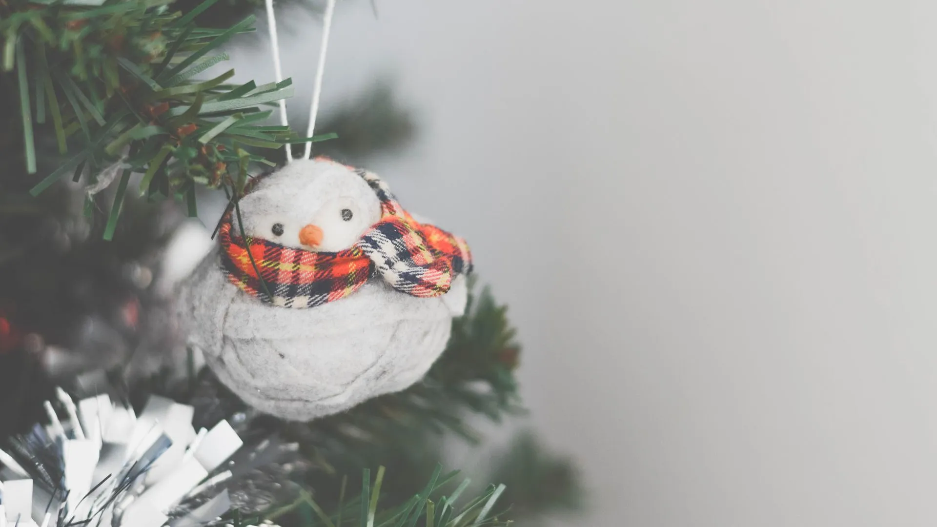 REGIONS/Дмитрий Некрасов