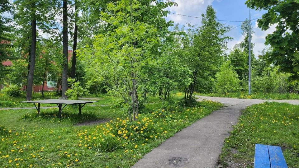 Фото: REGIONS/Ольга Аввакумова