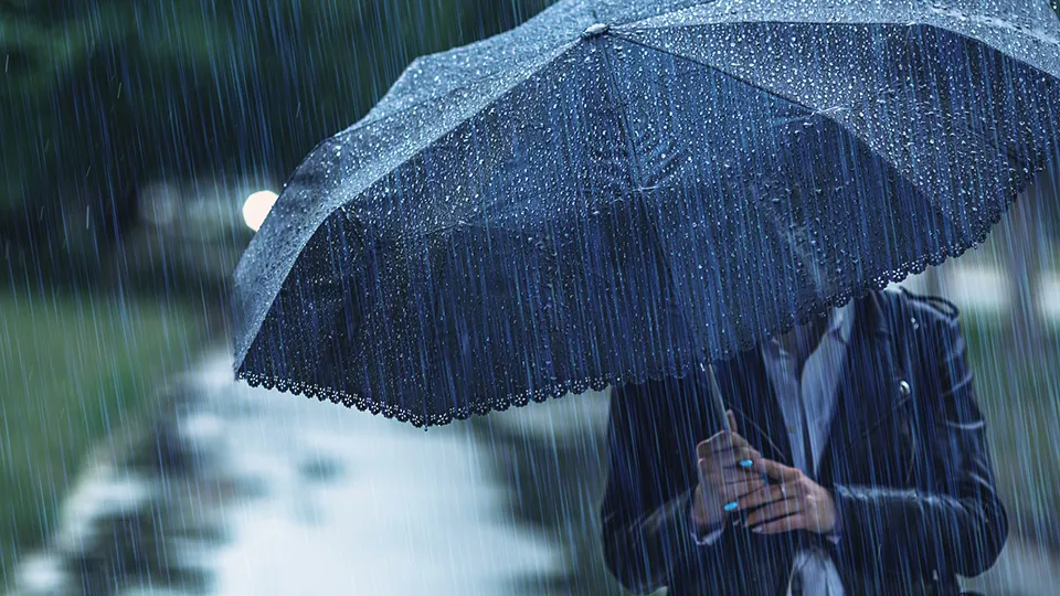 Фото: istockphoto.com