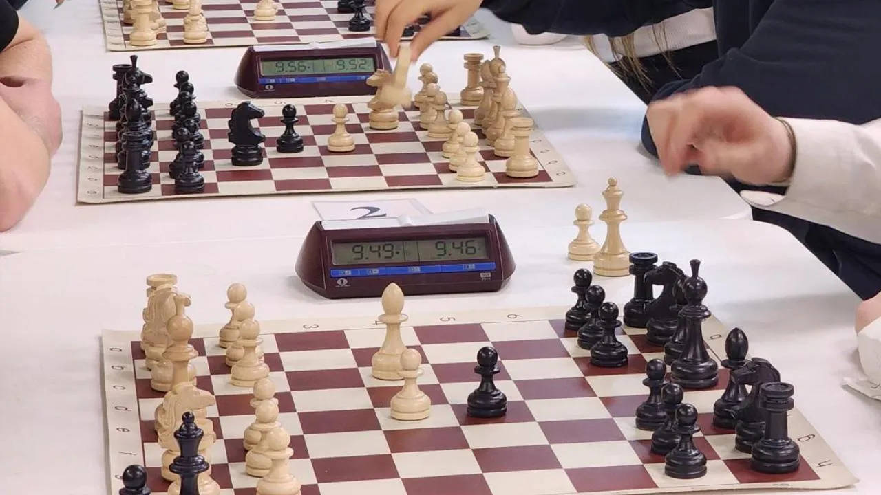 REGIONS/Мария Шигорева