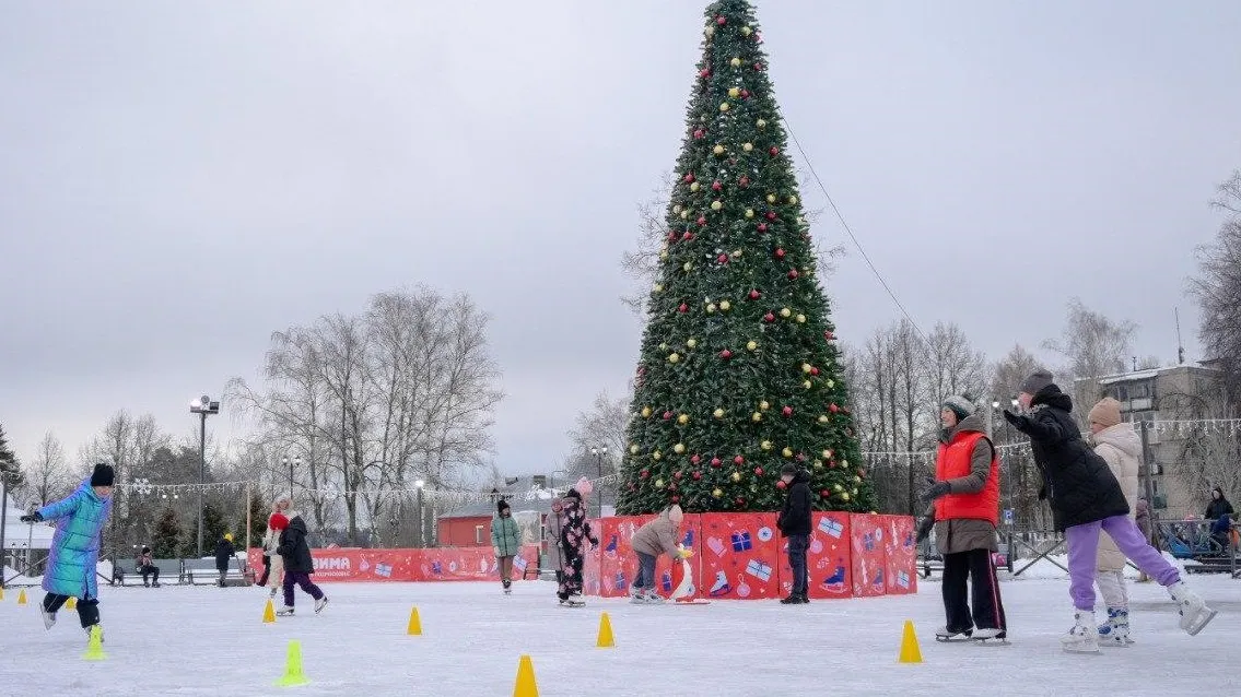 Фото: пресс-служба администрации г.о. Сергиев Посад