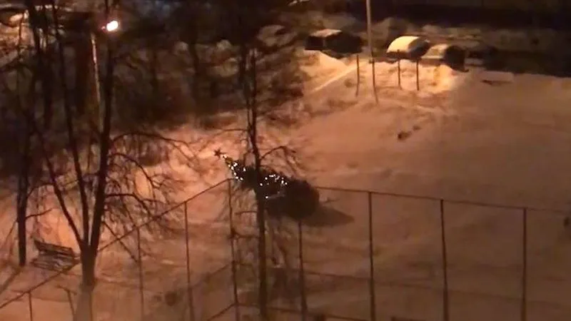Трехметровая елка рухнула во дворе Лобни