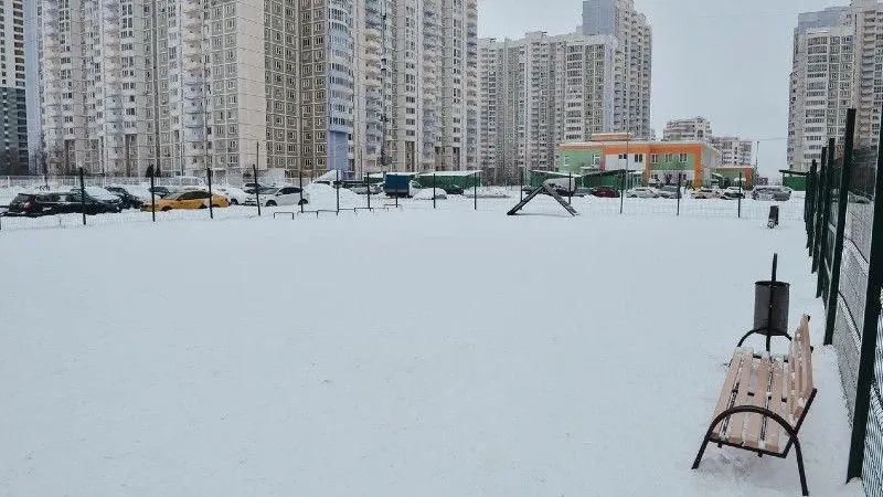Крупнейшую площадку для выгула собак установили в Новых Химках
