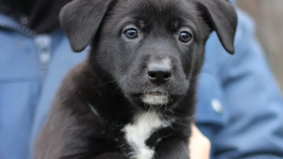 Фото: Марина Белякова