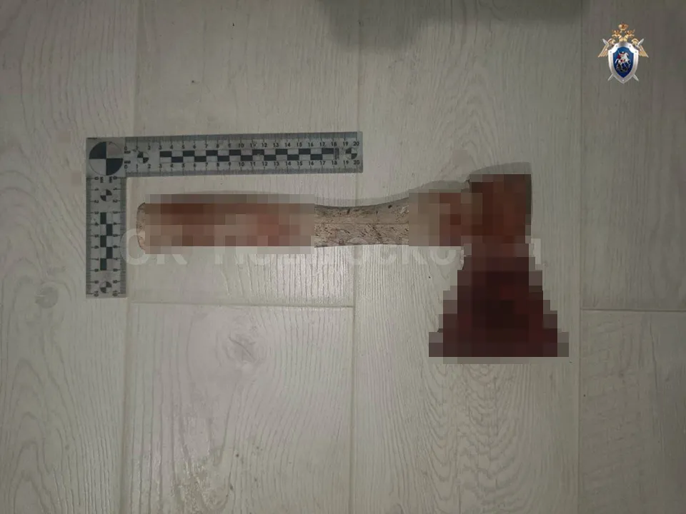 Фото:&nbsp;t.me/gsuskmosobl