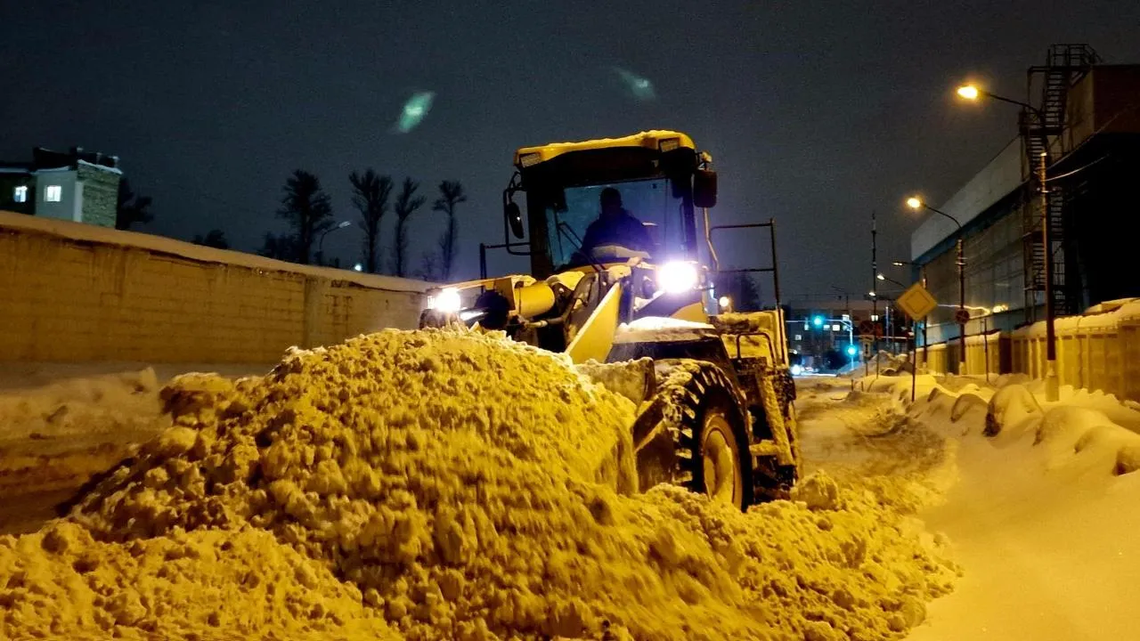 Виктория Фортуна