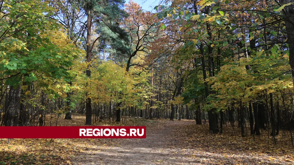 Фото: РИА Новости/Максим Богодвид