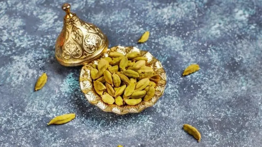 Фото: ru.freepik.com