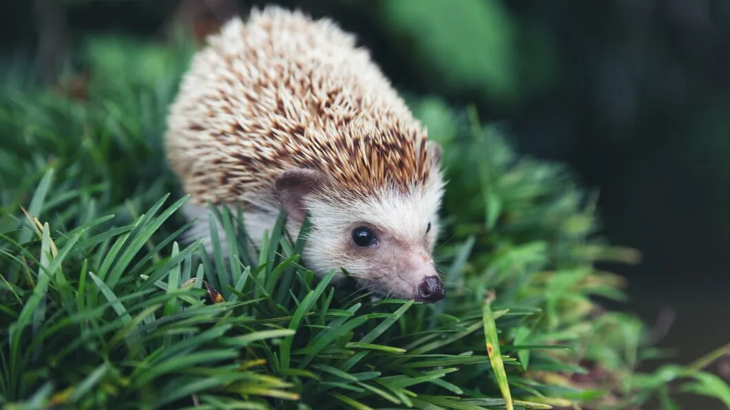 Фото: freepik.com