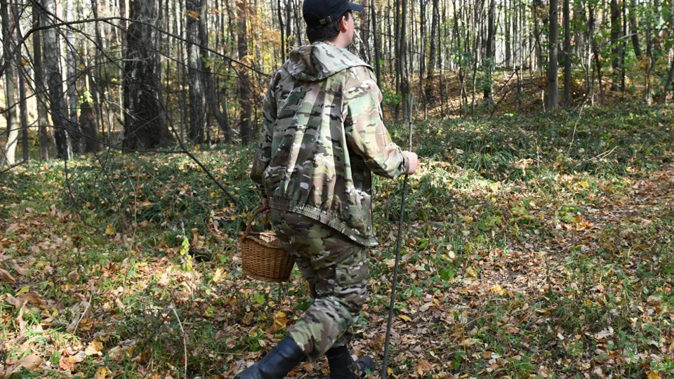 Фото: МедиаБанк Подмосковья/Анастасия Харченко