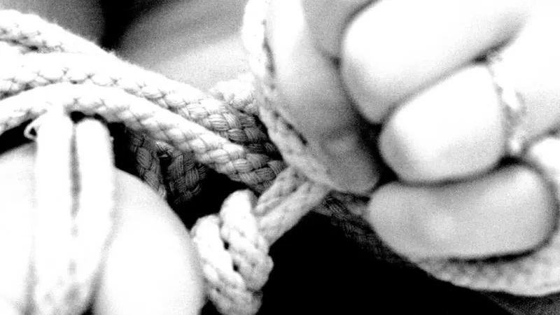 Stephanie Walling / flickr