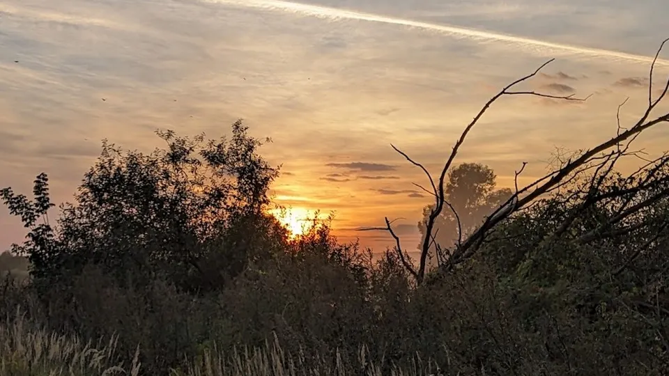 Фото: REGIONS/Алексей Селиверстов