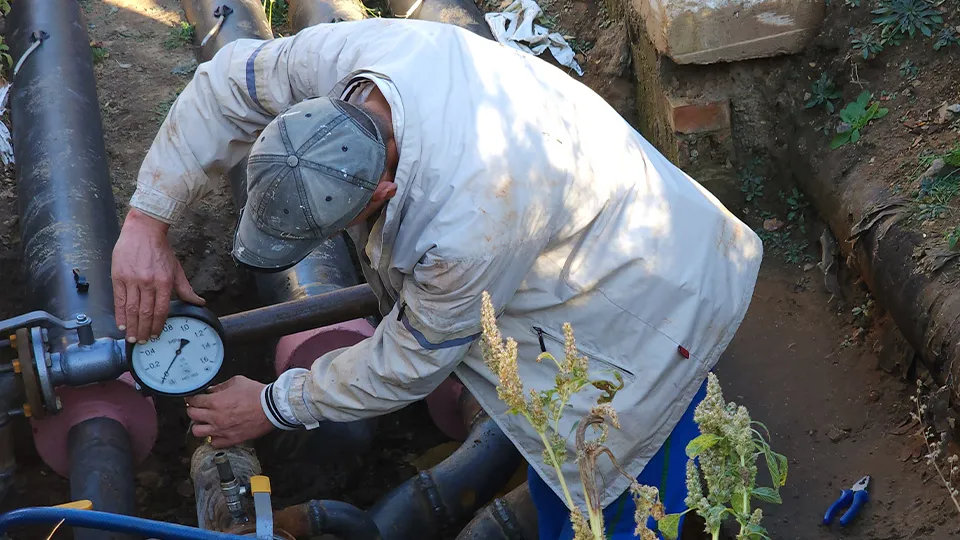 Фото: МедиаБанк Подмосковья/Валерия Тингаева