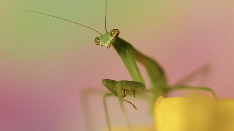 Фото: freepik.com