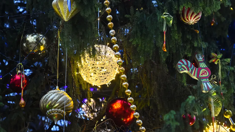 Фото: медиасток.рф