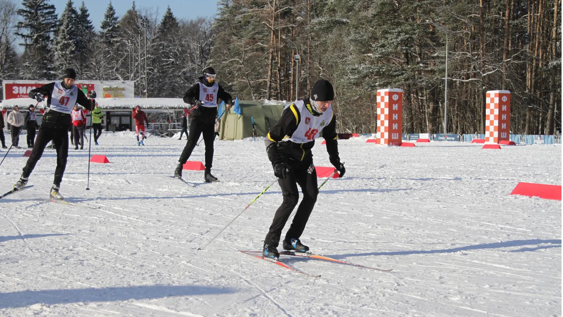 Фото: ГУ МЧС России по Московской области