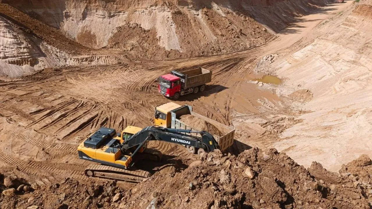 Фото: Комитет лесного хозяйства Московской области