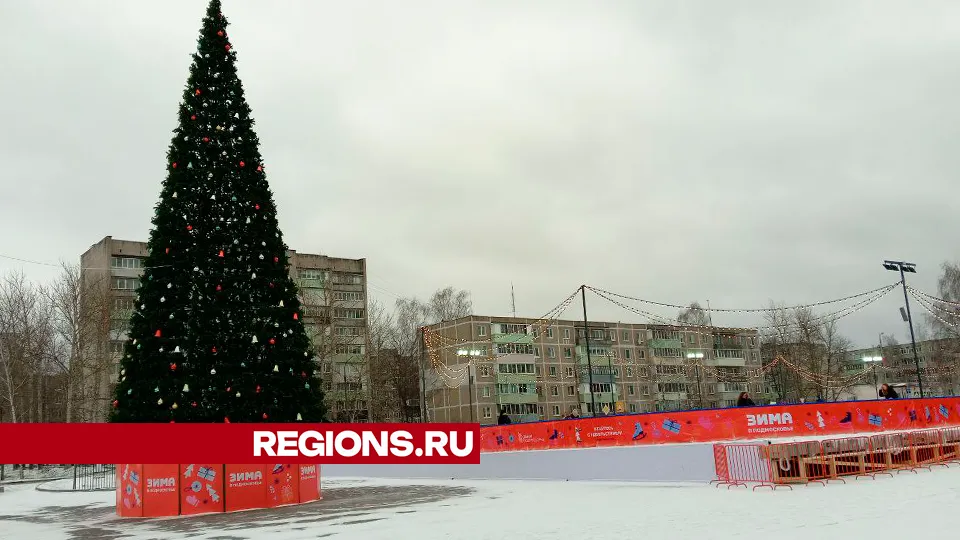 Фото: REGIONS/Василий Тремасов